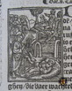 Vorsterman1528VBS 117IMG 5927Johannes5a