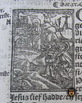 Vorsterman1528VBS 124IMG 5934Johannes20a