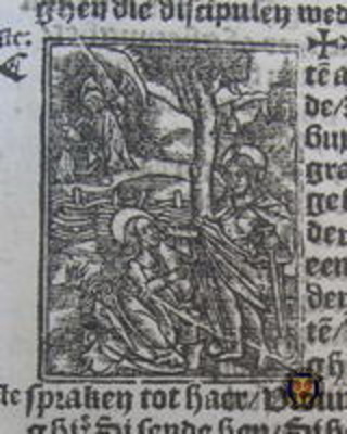 Vorsterman1528VBS 125IMG 5935Johannes20a